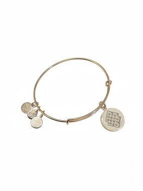 Alex and Ani Endless Knot charm bangle NWT
